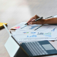 a close-up of a person reviewing financial documents