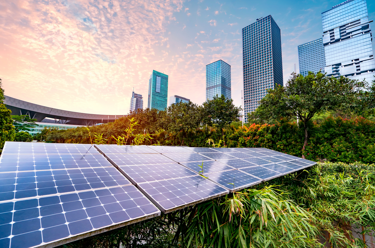 Solar panels amid a park in a modern city