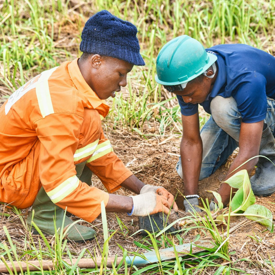 a closeup of two agricultural workers in a field