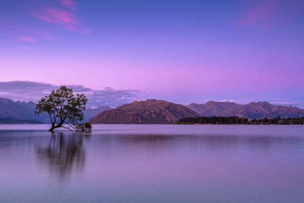 mauve-group-new-zealand-wanaka-otago-by-ken-cheung-unsplash.jpg