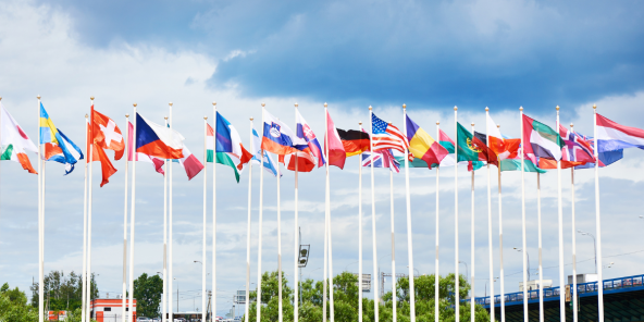 A host of national country flags flying in the air