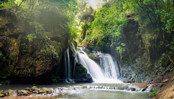 mauve-group-samoa-waterfall-with-rain-forest.jpg