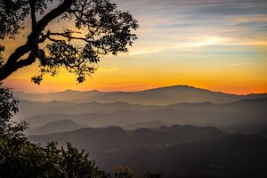 Chaing Mai-Thailand - Photo by Darcey Beau on Unsplash