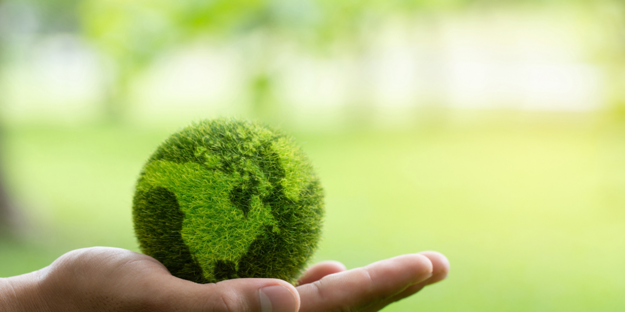 palm holding a mini globe