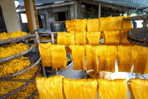 Production of silk in a local village in Vietnam