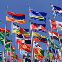 a collection of various national flags flying high against a clear blue sky
