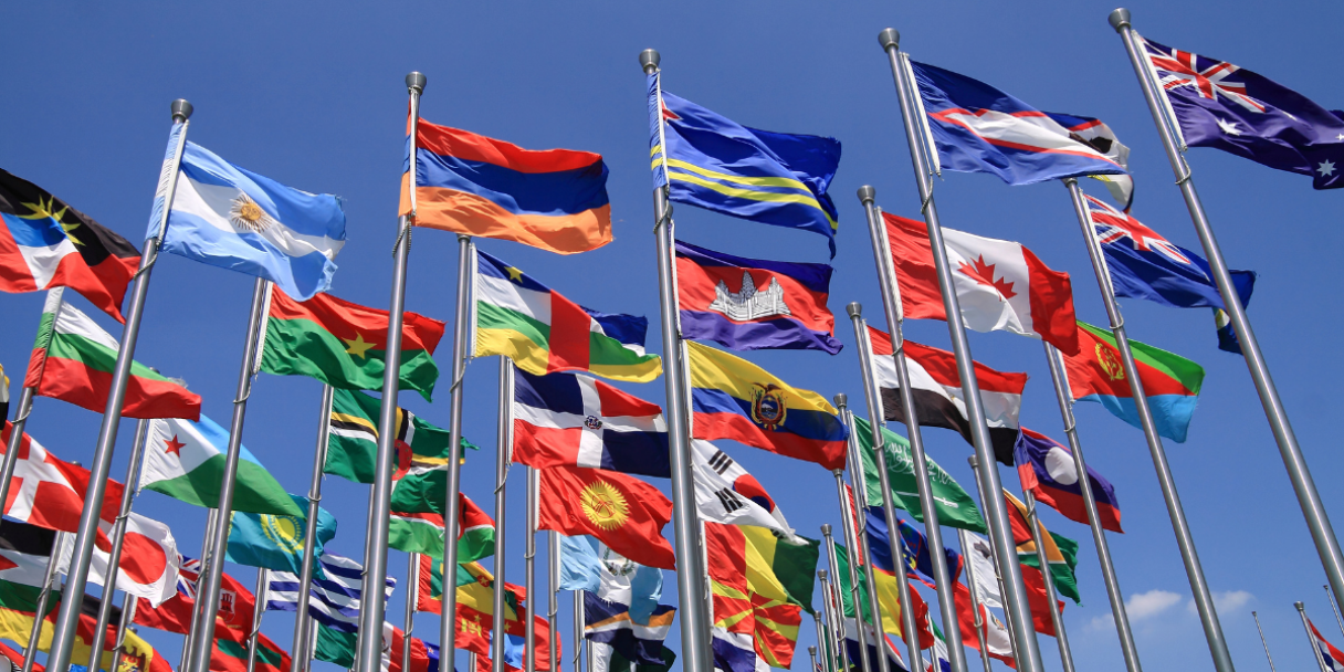 a collection of various national flags flying high against a clear blue sky