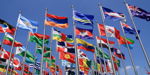 a collection of various national flags flying high against a clear blue sky