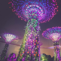 multicoloured lights on a tree-like posts in Gardens by the Bay in Singapore