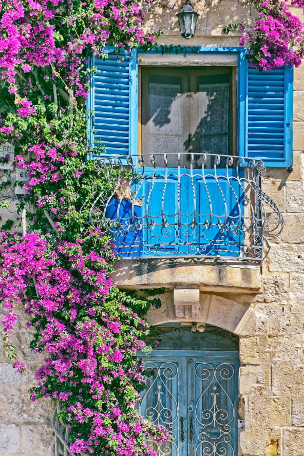 Blue shutters and wrought-iron balcony railing on a stone building, framed by dense clusters of bright pink flowers and a blue door below.