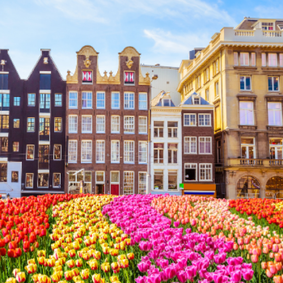 Rows of colourful tulips - pink, red, yellow, and orange - fill the foreground in front of historic brick canal houses and a bright blue sky.