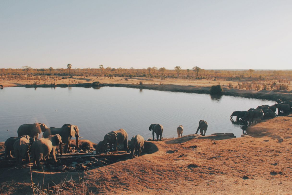 Hwange National Park, Zimbabwe, Photo by Christine Donaldson, Unsplash