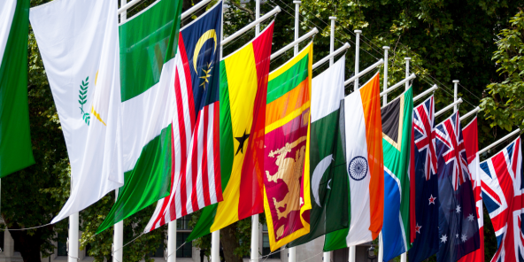 A row of colourful national and regional flags hanging from poles outdoors, including green-and-white, a red-and-white striped flag, a blue flag with a yellow emblem, and the Union Jack.