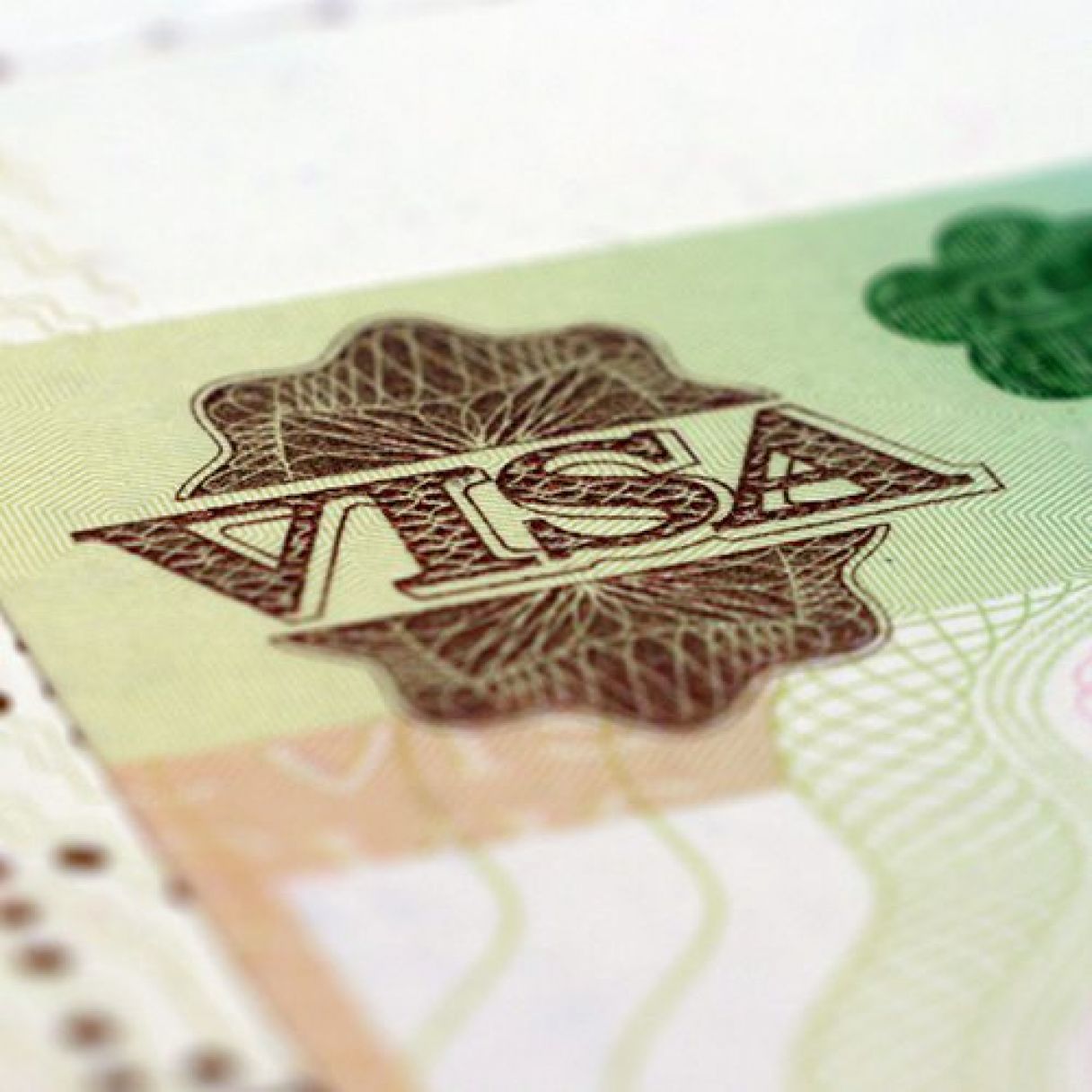 Close up Visa Picture