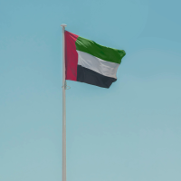 Image of the UAE flag and a pale blue sky