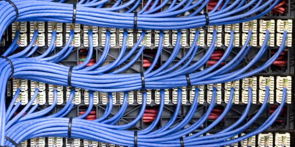 mauve-coloured network cables