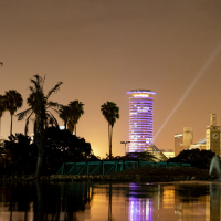 A city skyline at night with tall buildings, palm trees, and a body of water reflecting the lights.