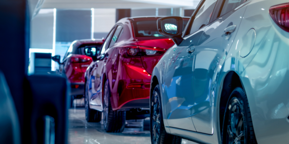 Close view of several cars lined up inside a bright showroom, with a white car in the foreground and red cars behind it under clean overhead lighting.