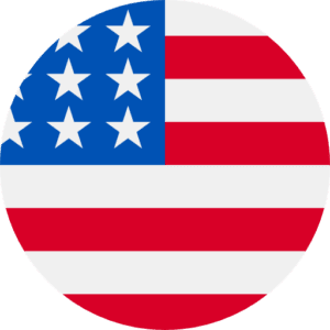 USA Flag Icon