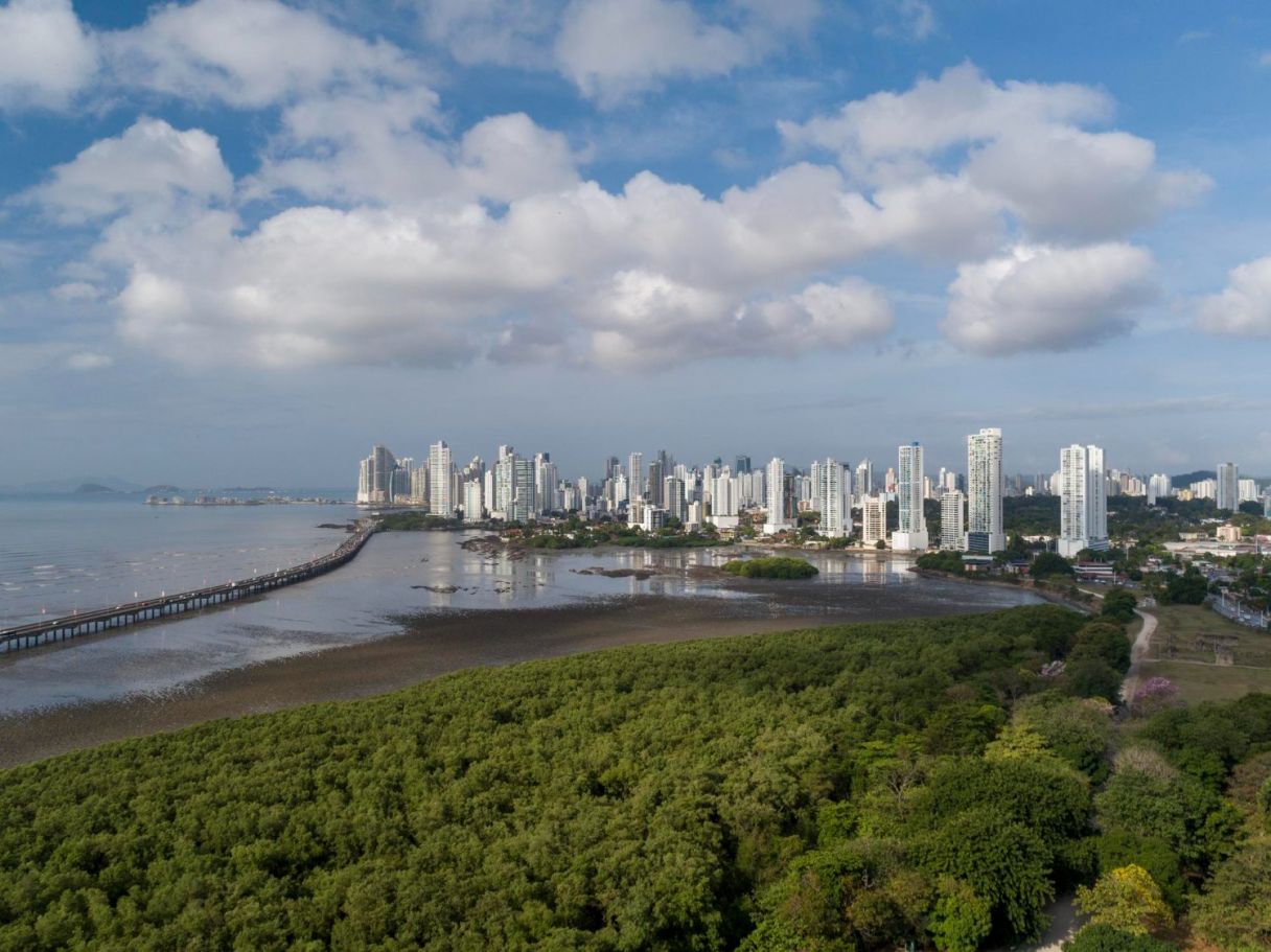 aerial-view-showing-highway-forest-mangoves-panama-city-panama-central-america