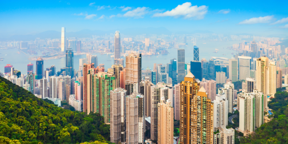 a dense green forest slopes down towards a bustling city skyline filled with numerous skyscrapers under a bright blue sky with scattered clouds