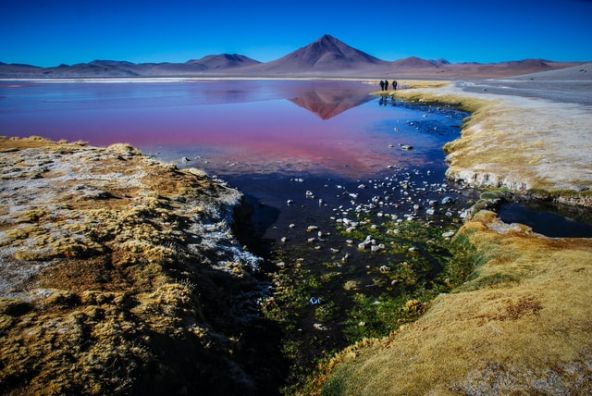 mauve-group-bolivia-altiplano-por-hugo-kruip-unsplash.jpg