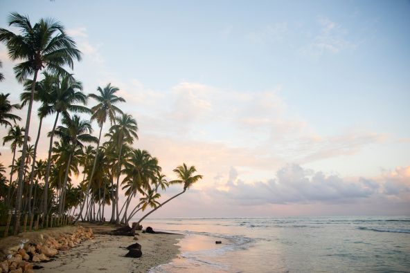 mauve-group-dominican-republic-palm-tree-sunset-by-robin-canfield-unsplash.jpg