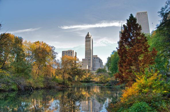 mauve-group-usa-new-york-central-park.jpg