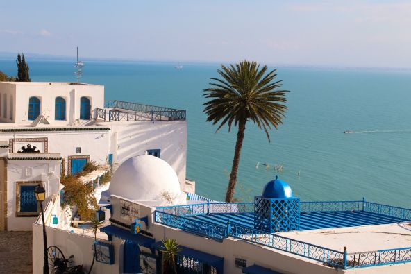 mauve-group-tunisia-carthage-dome-palm-trees-by-noelle-guirola-unsplash.jpg