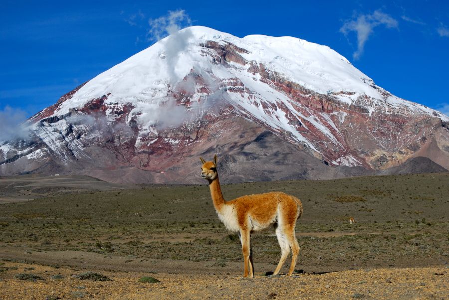 Ecuador