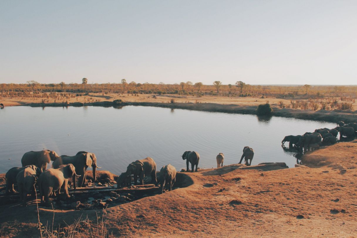 Parque Nacional de Hwange, Zimbabue, Fotografía de Christine Donaldson, Unsplash