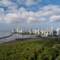 vista-aerea-mostrando-carretera-bosque-mangoves-panama-city-panama-central-america