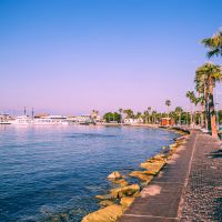 Palmeras en un puerto deportivo de Pafos, Chipre