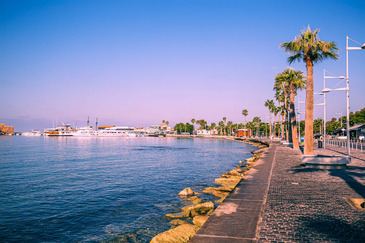 Palmeras en un puerto deportivo de Pafos, Chipre